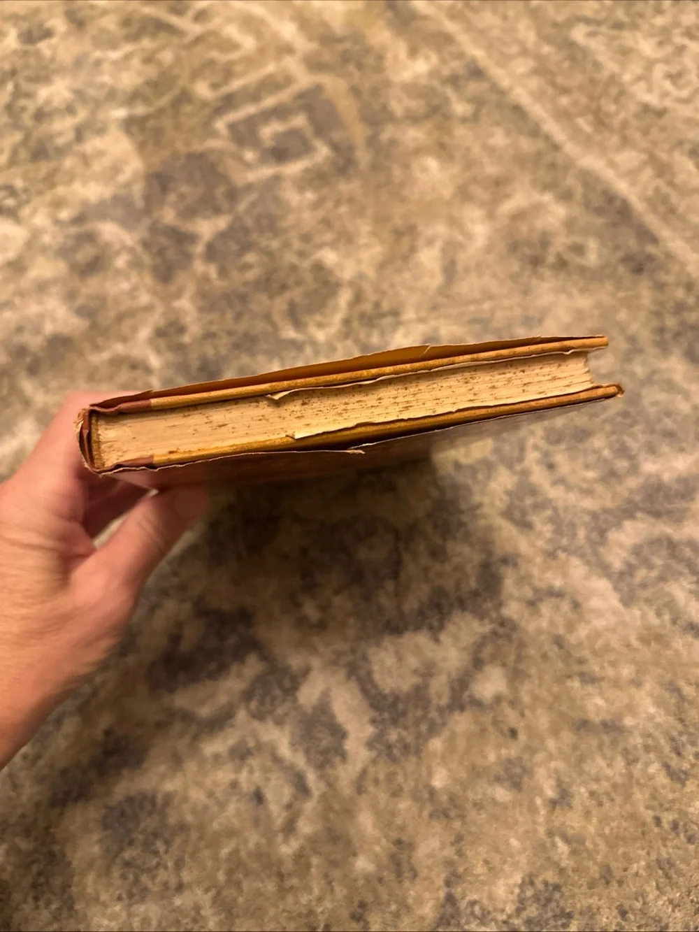 Vintage 1969 Cookbook: Homemade Bread by Farm Journal Hardcover Book Dust Jacket